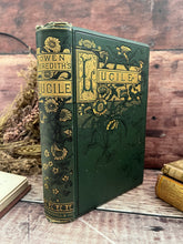 Load image into Gallery viewer, Lucile by Owen Meredith Beautiful Victorian Floral Binding
