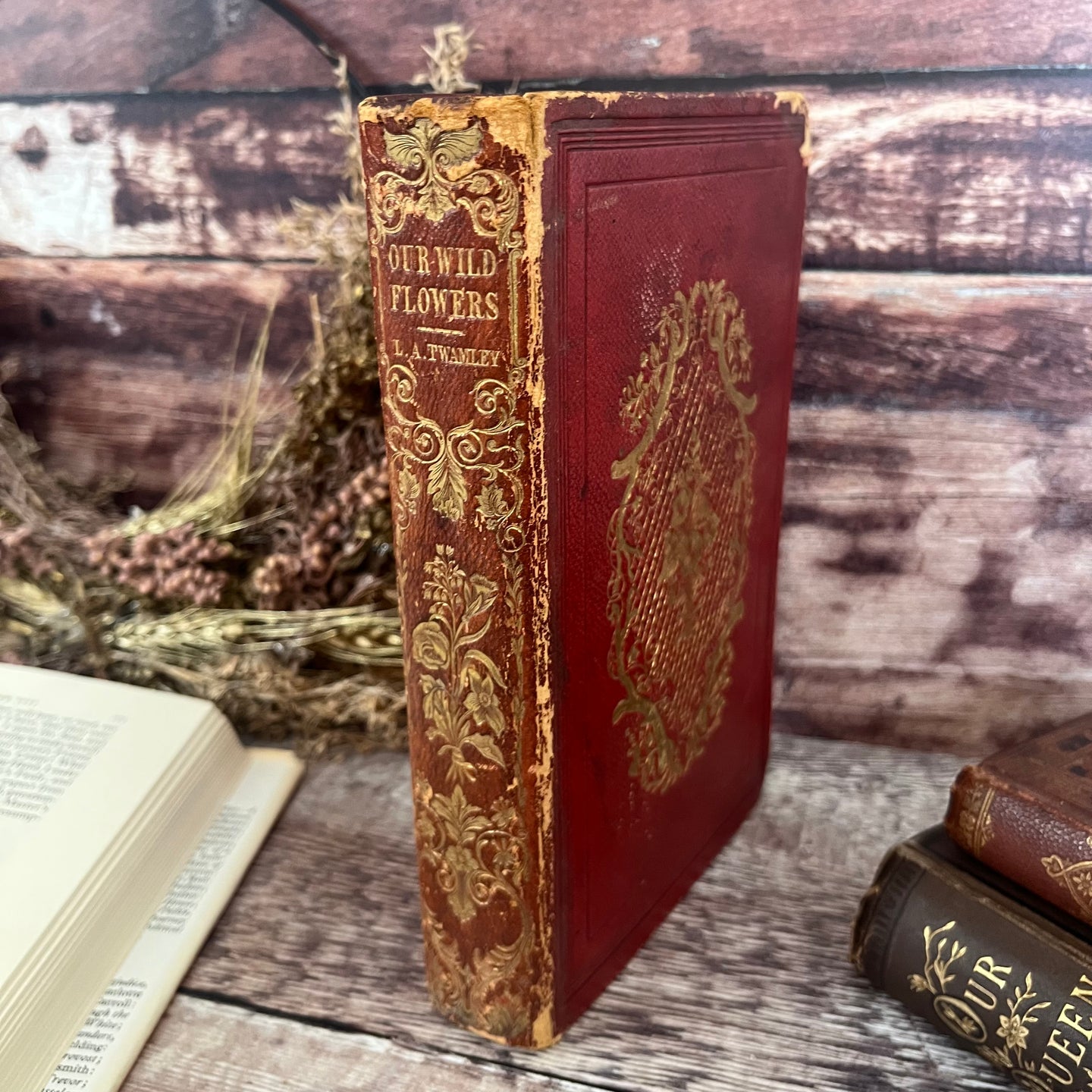 1839 Our Wild Flowers Familiarly Described and Illustrated with Hand Coloured Plates