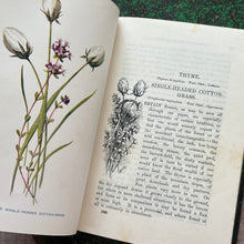 Load image into Gallery viewer, 1910 Familiar Wild Flowers; Three Individual Volumes, Half Calf with Marbled Edges
