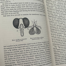 Load image into Gallery viewer, The Boys' and Girls' Book of Science Illustrated Victorian Book
