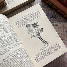 Load image into Gallery viewer, Hardy Perennials and Old Fashioned Garden Flowers Late Victorian Antique Book
