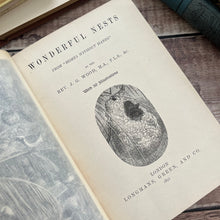 Load image into Gallery viewer, 1892 Wonderful Nests by Rev J.G. Wood; Late Victorian Natural History Book
