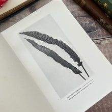 Load image into Gallery viewer, 1913 Flowerless Plants How and Where They Grow by S Leonard Bastin; Illustrated Book
