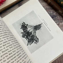 Load image into Gallery viewer, 1913 Flowerless Plants How and Where They Grow by S Leonard Bastin; Illustrated Book

