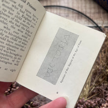 Load image into Gallery viewer, 1900 Queen Victoria The Good Queen and Empress; Miniature Book

