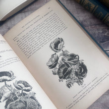 Load image into Gallery viewer, 1900 My Gardener A Practical Handbook for the Million by H W Ward
