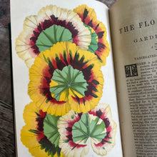 Load image into Gallery viewer, 1868 The Floral World edited by Shirley Hibberd with Colour Plates
