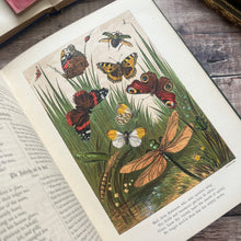 Load image into Gallery viewer, The Fields and The Woodlands Depicted by Painter and Poet; Victorian Book

