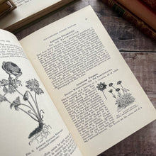 Load image into Gallery viewer, Hardy Perennials and Old Fashioned Garden Flowers Late Victorian Antique Book
