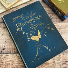 Load image into Gallery viewer, British and European Butterflies and Moths ... Colour Illustrations
