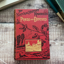Load image into Gallery viewer, 1888 Ponds and Ditches; Natural History Rambles Illustrated Victorian Book
