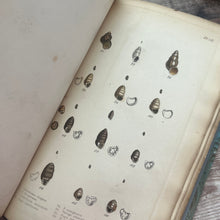 Load image into Gallery viewer, 1857 Manual of the Land and Fresh-Water Shells of the British Islands by William Turton
