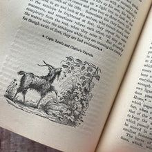 Load image into Gallery viewer, Popular Natural History and Characteristics of Animals by Captain Thomas Brown
