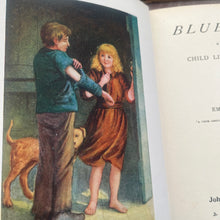 Load image into Gallery viewer, Bluebell by Emma Marshall Striking Pictorial Binding Antique Book
