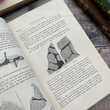 Load image into Gallery viewer, 1870 Alpine Flowers for English Gardens by W Robinson; Illustrated Victorian Book
