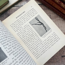 Load image into Gallery viewer, The Birds and Their Story by R.B.Lodge A Book for Young Folk Edwardian Illustrated
