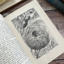 Load image into Gallery viewer, 1892 Wonderful Nests by Rev J.G. Wood; Late Victorian Natural History Book
