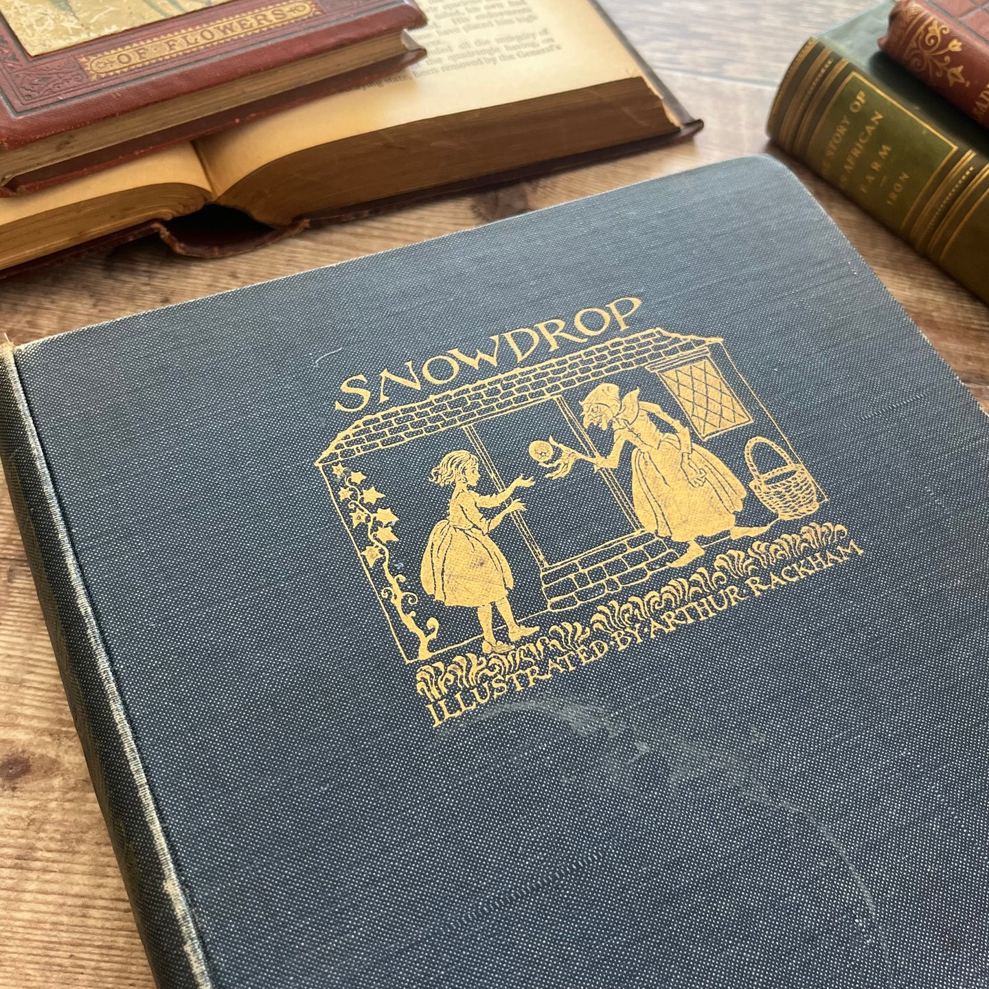 1920 Snowdrop and Other Tales by The Brothers Grimm Illustrated by Arthur Rackham