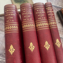 Load image into Gallery viewer, Familiar Wild Flowers Seven Volumes Bound as Four; Quarter Leather Illustrated Set
