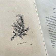 Load image into Gallery viewer, 1848 Chapters on Flowers by Charlotte Elizabeth Early Victorian Full Morocco Binding
