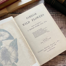 Load image into Gallery viewer, Familiar Wild Flowers Volume 2 by Edward Hulme Beautiful Antique Book
