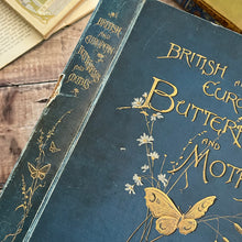 Load image into Gallery viewer, British and European Butterflies and Moths ... Colour Illustrations
