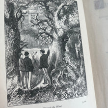 Load image into Gallery viewer, Wildcat Tower by G. Christopher Davies; Victorian Illustrated Book
