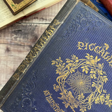 Load image into Gallery viewer, 1862 Piccalilli An Illustrated Mixture by Gilbert Percy; Stunning Victorian Illustrated Book
