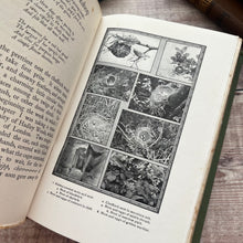 Load image into Gallery viewer, 1912 Nature's Workshop by William J Claxton; Illustrated Antique Book
