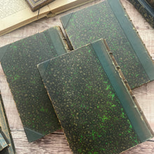 Load image into Gallery viewer, Familiar Wild Flowers Five Volumes; Half Leather Illustrated Set
