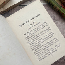 Load image into Gallery viewer, By the Path of the Storm by Dorothy Baird Beautiful Pictorial Floral Binding

