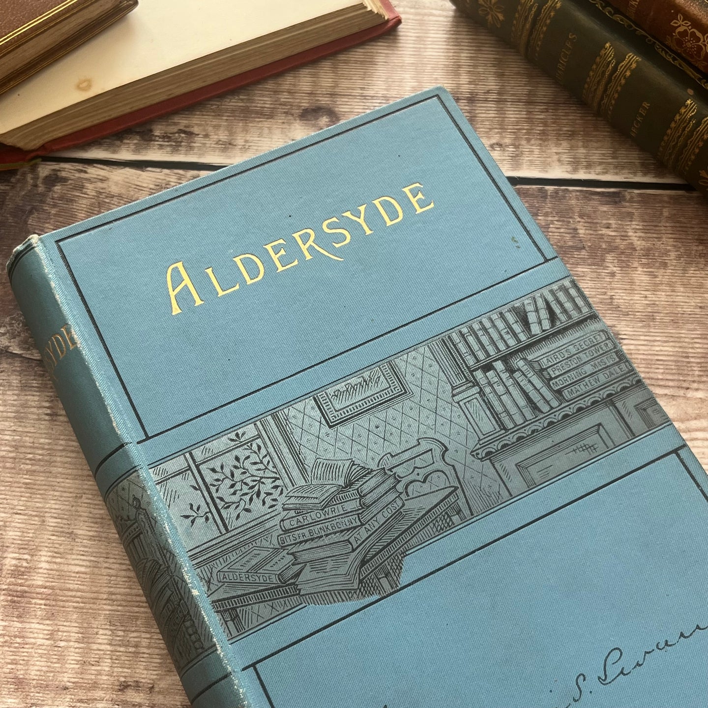 1893 Aldersyde A Border Story by Annie S Swan Late Victorian Book