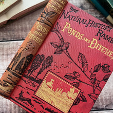 Load image into Gallery viewer, 1888 Ponds and Ditches; Natural History Rambles Illustrated Victorian Book

