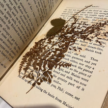 Load image into Gallery viewer, Bluebell by Emma Marshall Striking Pictorial Binding Antique Book
