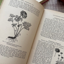 Load image into Gallery viewer, 1884 Hardy Perennials and Old Fashioned Garden Flowers by John Wood; Late Victorian Illustrated Book
