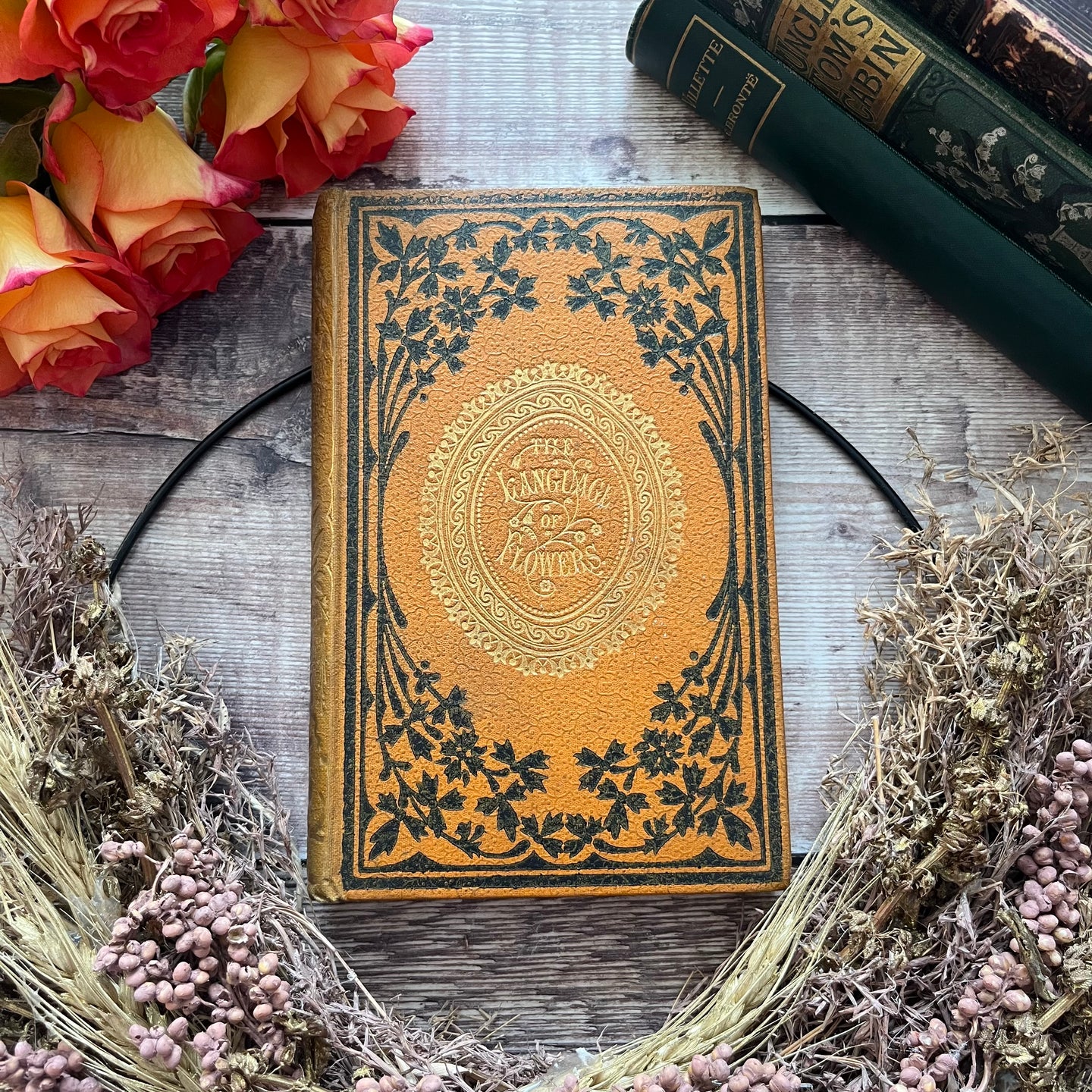 Rare Flowers Their Use and Beauty Language and Sentiment Victorian Illustrated Book