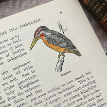 Load image into Gallery viewer, Birds and Their Ways The Rambler Nature Books Beautiful Floral Binding
