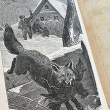 Load image into Gallery viewer, Victorian Book of Field Friends and Forest Foes; Illustrated 19th Century Book
