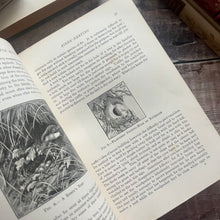 Load image into Gallery viewer, 1895 Country Pastimes for Boys Illustrated Nature Book
