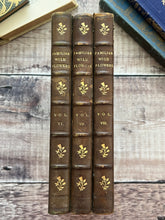 Load image into Gallery viewer, 1910 Familiar Wild Flowers; Three Individual Volumes, Half Calf with Marbled Edges
