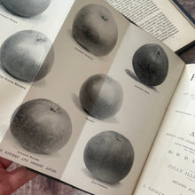 Load image into Gallery viewer, 1898 Fruit Culture for Amateurs; Second Edition Illustrated Gardening Book
