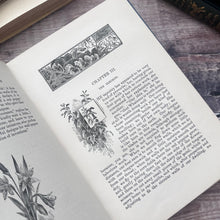 Load image into Gallery viewer, Lady-Bird's Tea-Party and Other Stories by James Crowther; Stunning Pictorial Cloth SCARCE Book
