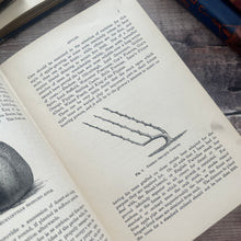 Load image into Gallery viewer, 1898 Fruit Culture for Amateurs; Second Edition Illustrated Gardening Book
