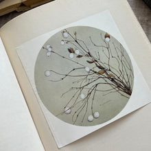 Load image into Gallery viewer, The Flowers I Love with a Series of Tipped In Colour Plates by Katherine Cameron; Rare

