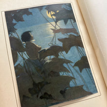 Load image into Gallery viewer, The Water Babies by Charles Kingsley; Illustrated by Jessie Willcox Smith

