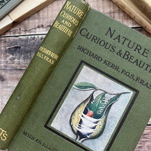 Load image into Gallery viewer, Nature Curious and Beautiful by Richard Kerr; Early 20th Century Illustrated Book
