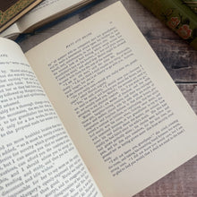Load image into Gallery viewer, Muriel or Ways and Means by M Vandegrift; Late Victorian Pictorial Floral Binding
