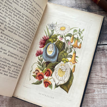 Load image into Gallery viewer, Flowers from Many Lands; Christian Companion Victorian Book with Colour Plates
