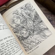 Load image into Gallery viewer, 1912 Aesop&#39;s Fables Illustrated by Arthur Rackham First Edition Thus Colour Plates
