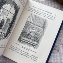 Load image into Gallery viewer, 1879 The New Practical Window Gardener; Scarce Mid Victorian Illustrated Gardening Book
